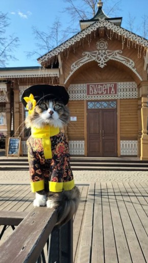 Доброе утро, Ярославль!. Апрель решил немного нас удивить