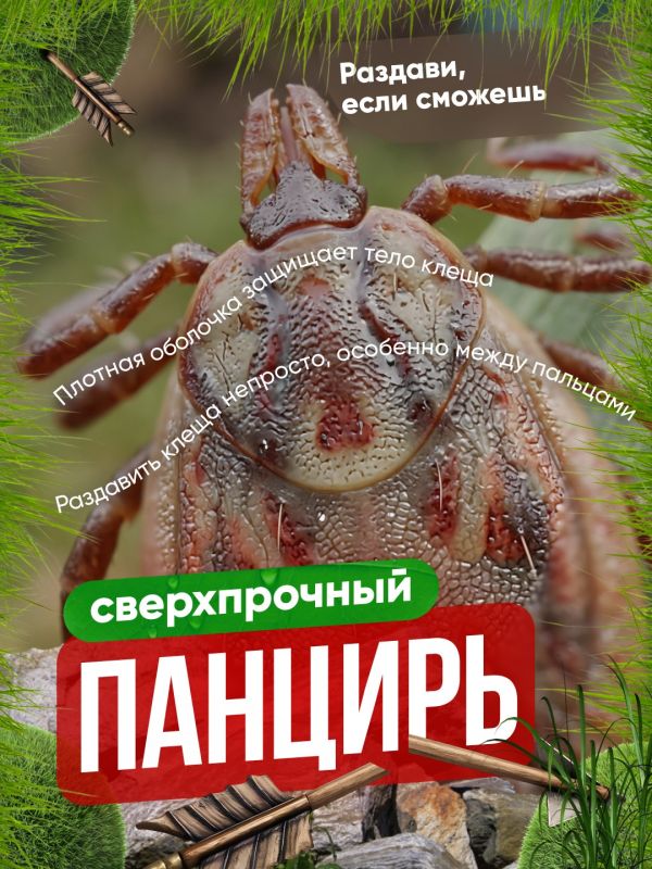 ��� ����� ������� ����� � ������