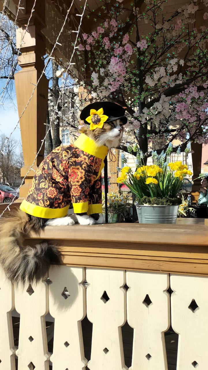 Доброе утро, Ярославль!. Апрель решил немного нас удивить Доброе утро, Ярославль!. Апрель решил немного нас удивить