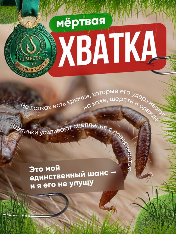 ��� ����� ������� ����� � ������