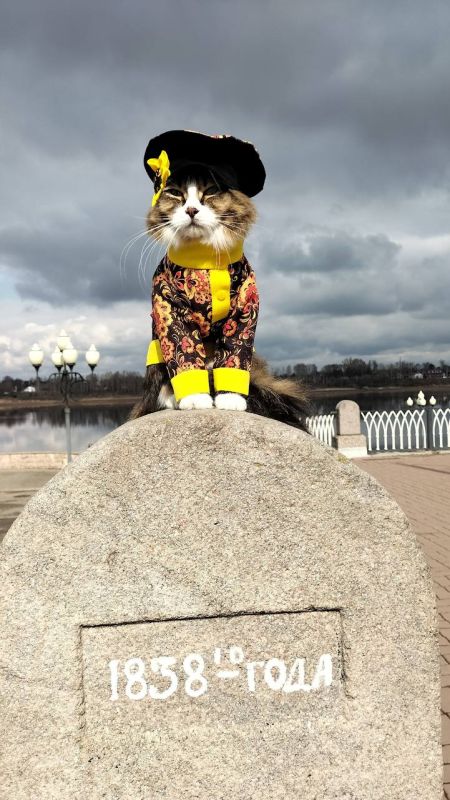 ������ ����, ���������!. ������ ����� ������� ��� �������