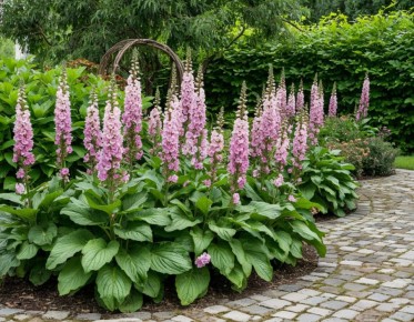 Гиганты среди травянистых растений: как натуральные исполины преобразят ваш сад