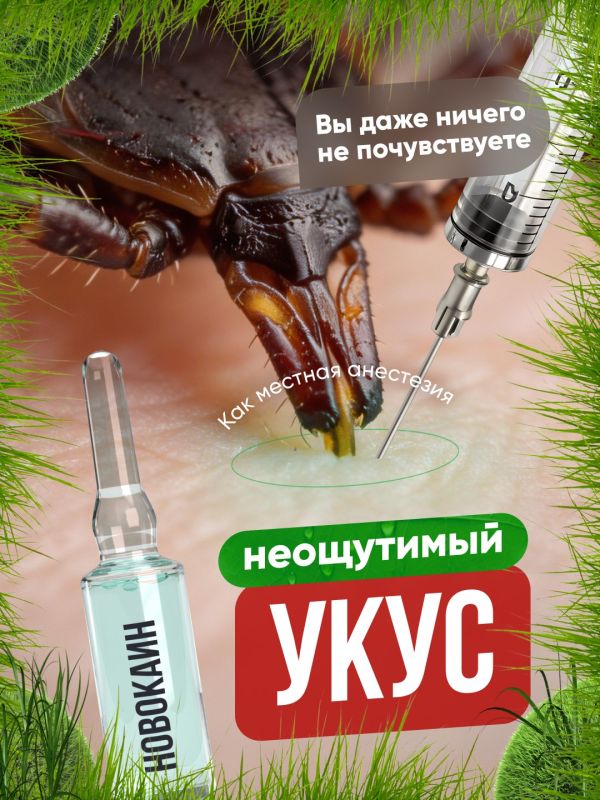 ��� ����� ������� ����� � ������