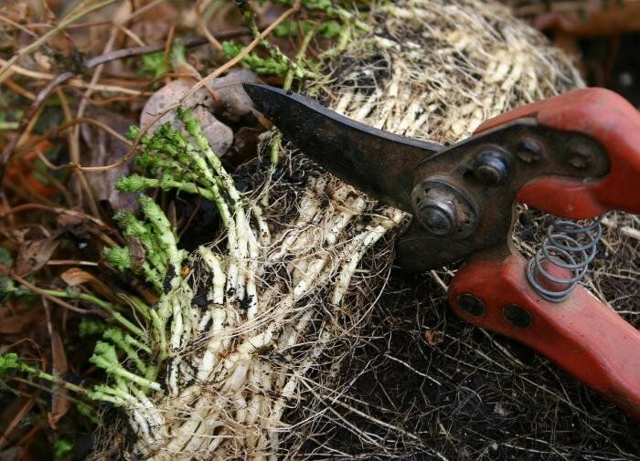 �������: ����������� �������� � ����