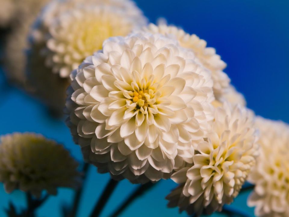 ������ ���������� � ��� �� ������ �������� �����: ������� �� ������������� � �����