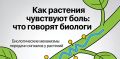 Как растения воспринимают окружающий мир