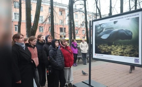 ������ ������: � ��������� �� ������������ �������� ��������� ������������, ����������� ���������-������������� � ��������� �������� ��������