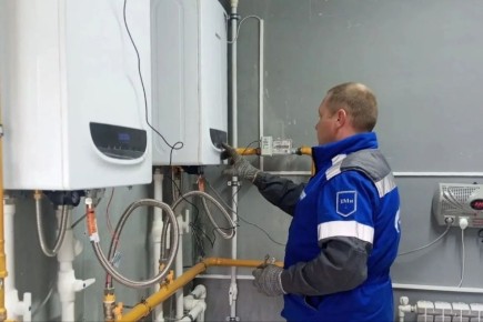 ������ ������: � ���� �����-�������� ��������� ������ �� ����������� ���� ��������