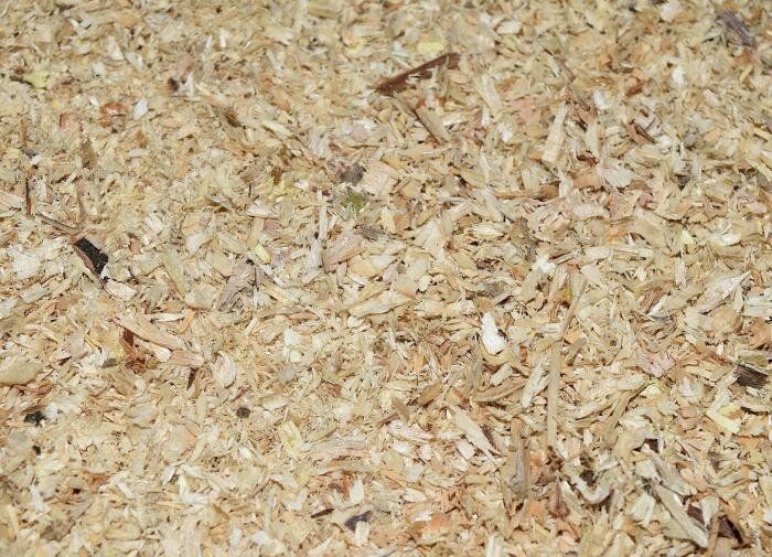 ������ � �������: �� � ������ �� �������������