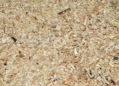 Опилки в огороде: за и против их использования