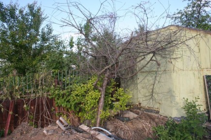 ��� ������������� ���������� ������� � ������ ��� �����