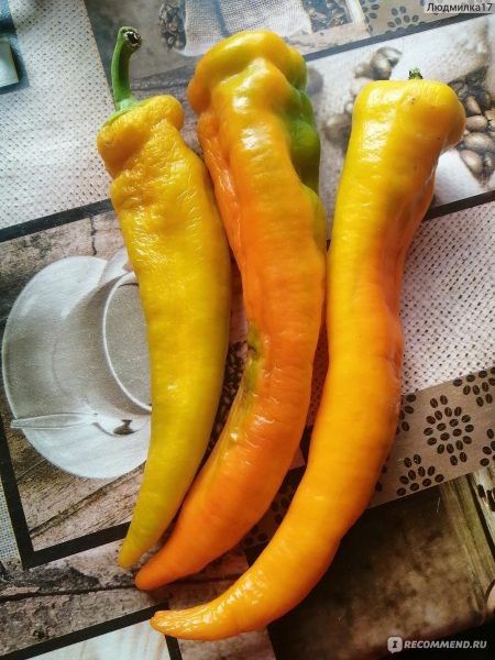 ����� �����: ���������� ������ ��� ������ ����