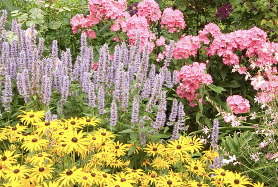 ������������� ������������: ����� ��� ���� ��� ������ �����