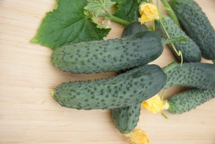 ������ ������: ��������� ������ ��� ������� ������