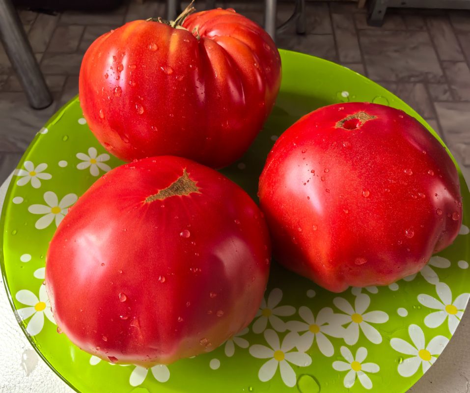 ����������� ����� �������, ������� ������� ��� ������