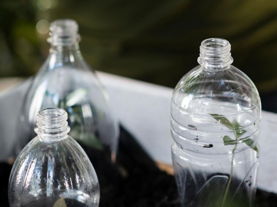 ����������� �������� ��� �����: ��� ���������� ����� ������ �������� ����������