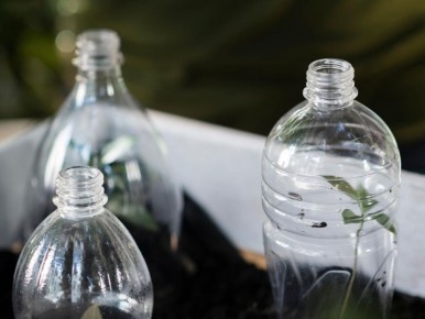 выращивание растений без забот: как бутылочный полив решает проблему увлажнения