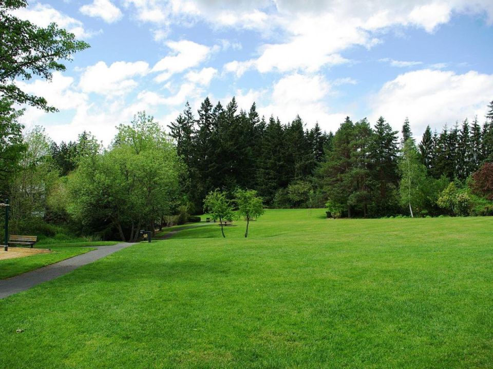 ��� ������� ������ �����: ������ � ���� �� 5 �����