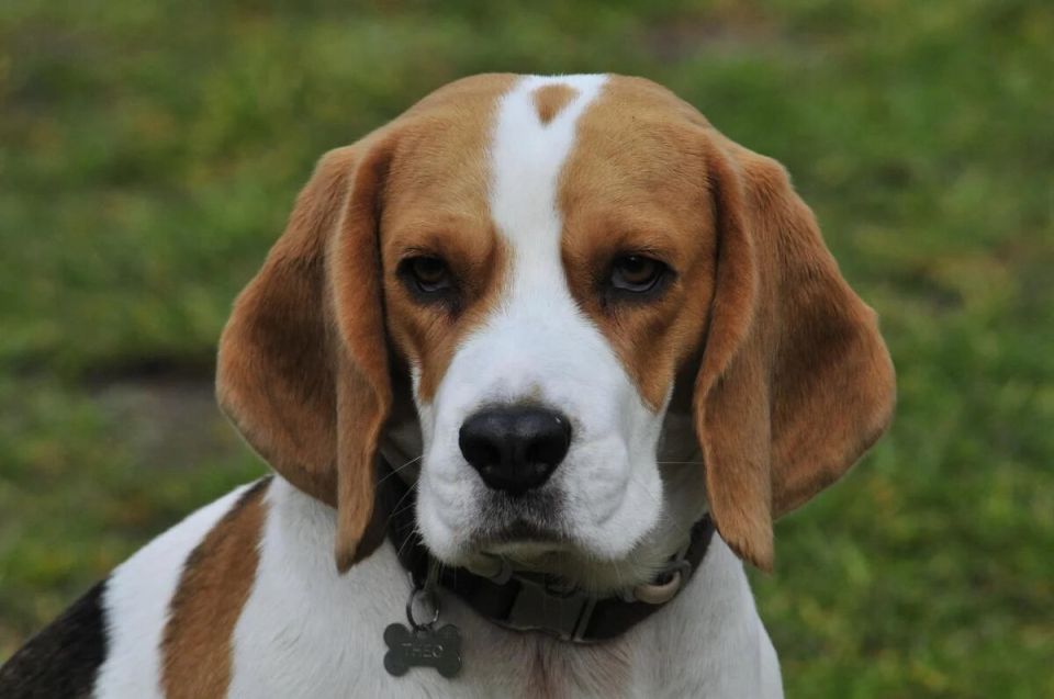 ���� ����� �����, ������� �� �������� ��� ����� � ��������