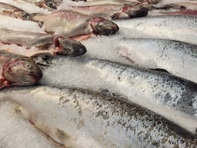 Новгородцы смогут купить рыбу по доступным ценам благодаря акции
