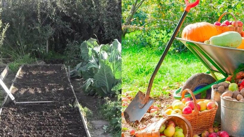 ��� ����������� ������ � ����: ������� ���������� � ���������������