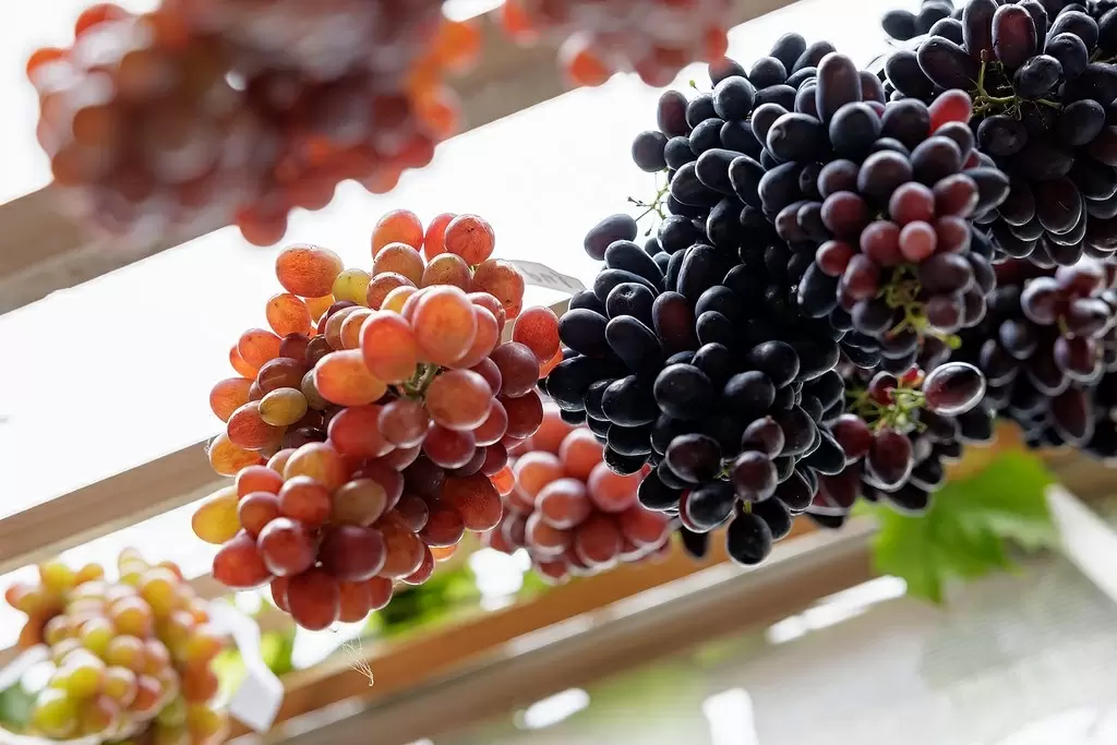 Зимние фрукты и ягоды: что лучше не покупать в холодное время года?