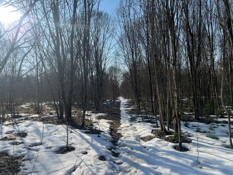 �������� �����: ��� �� ������ � ������ 2026 ����