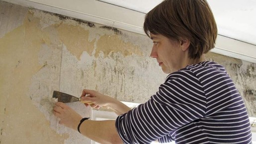 Как навсегда распрощаться с плесенью в вашем доме: прогрессивные решения и доступные секреты