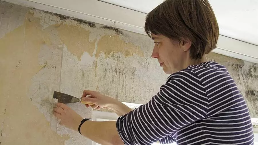 Как навсегда распрощаться с плесенью в вашем доме: прогрессивные решения и доступные секреты