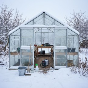 Зимняя дезинфекция теплицы без химических веществ: пар, механика и УФ-лампы