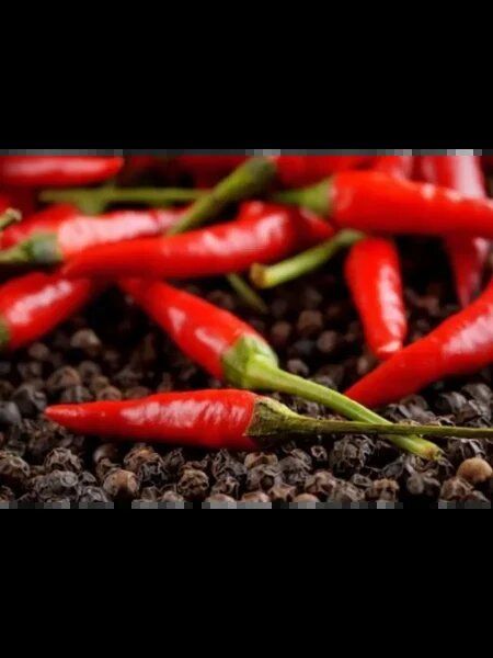 ����� ������ ��: ������ ���� � ����������� ����������