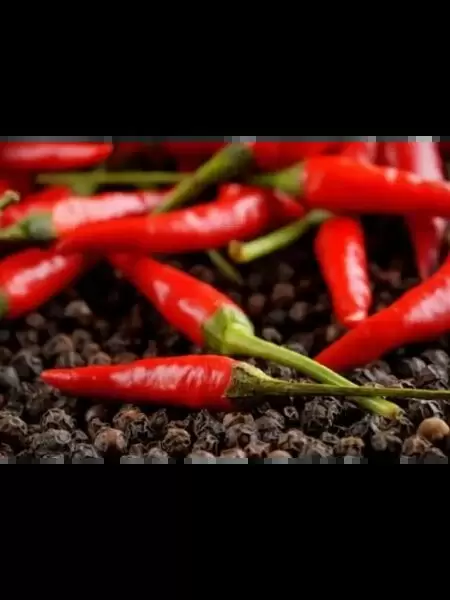 Перец жгучий ус: ранний сорт с уникальными свойствами