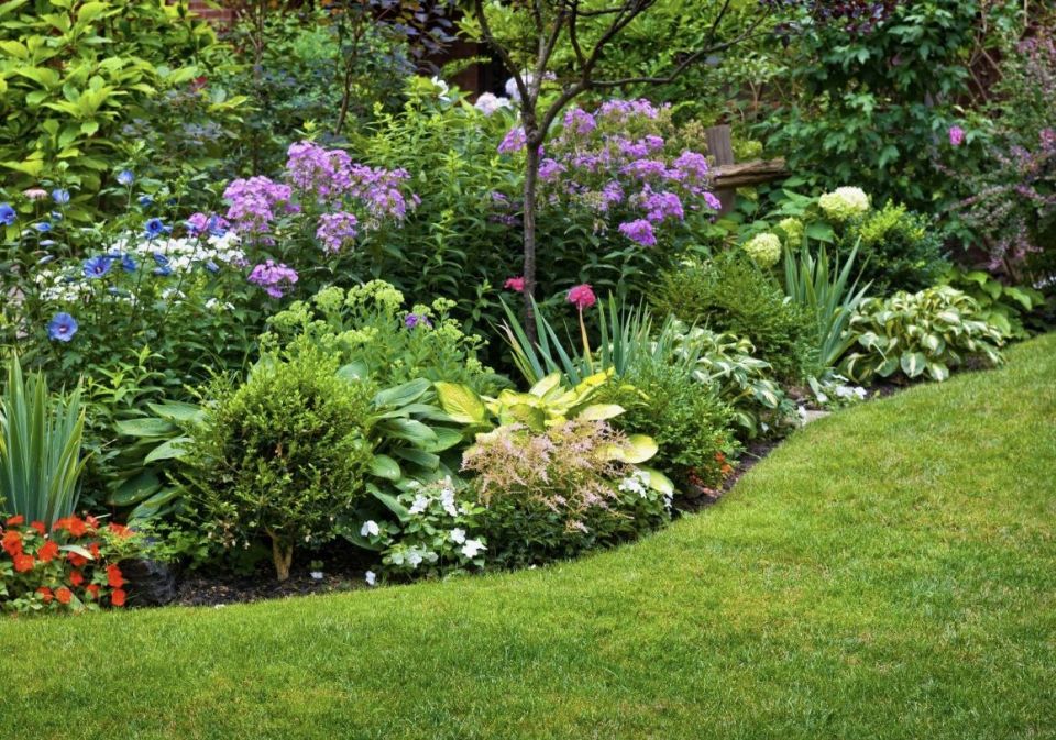 ����������� ������������: ���� ������ �������� � �������� ����� ����