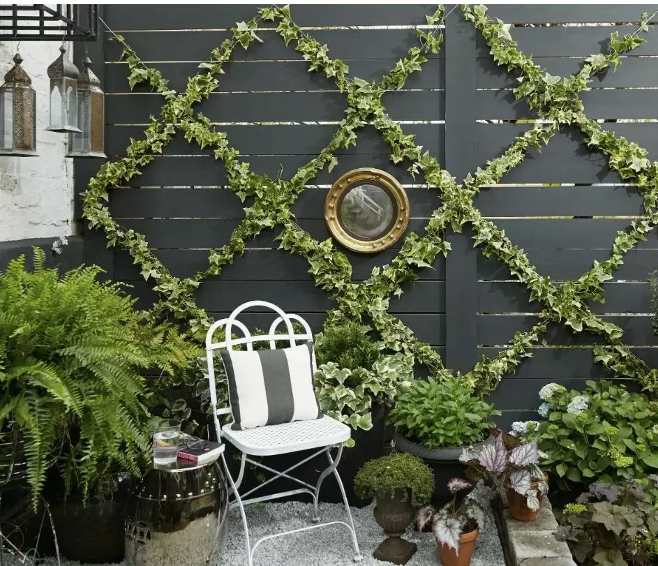 Вертикальное озеленение: 15 креативных решений для вашего балкона и дачи