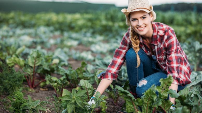 ��� �������� ������ ��� ������ ������: ������� ������� �����������