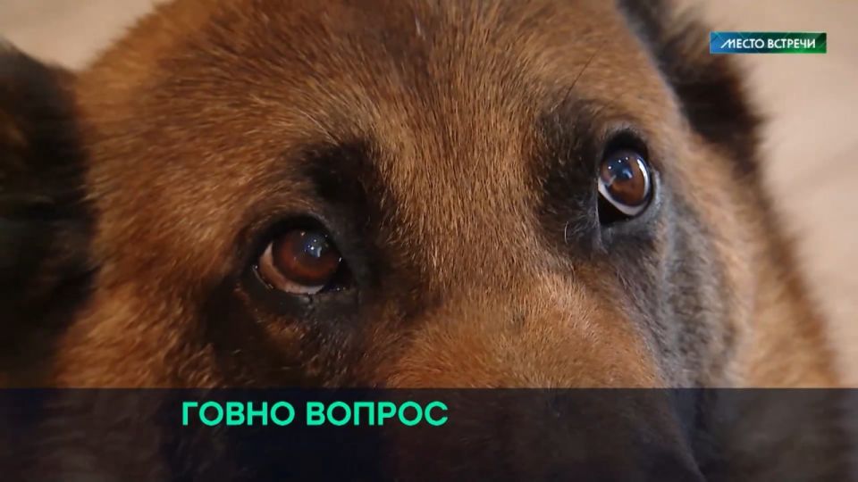 � ������������ ����� �������� ������������ � ������������ ���������, ������� � ������ ����� �������� �������� �����