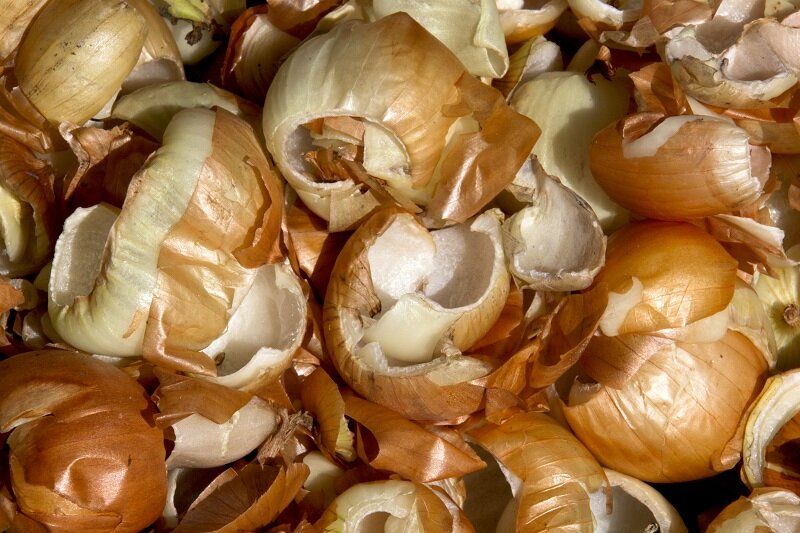 ������� ������: ������ ������� ������ �������