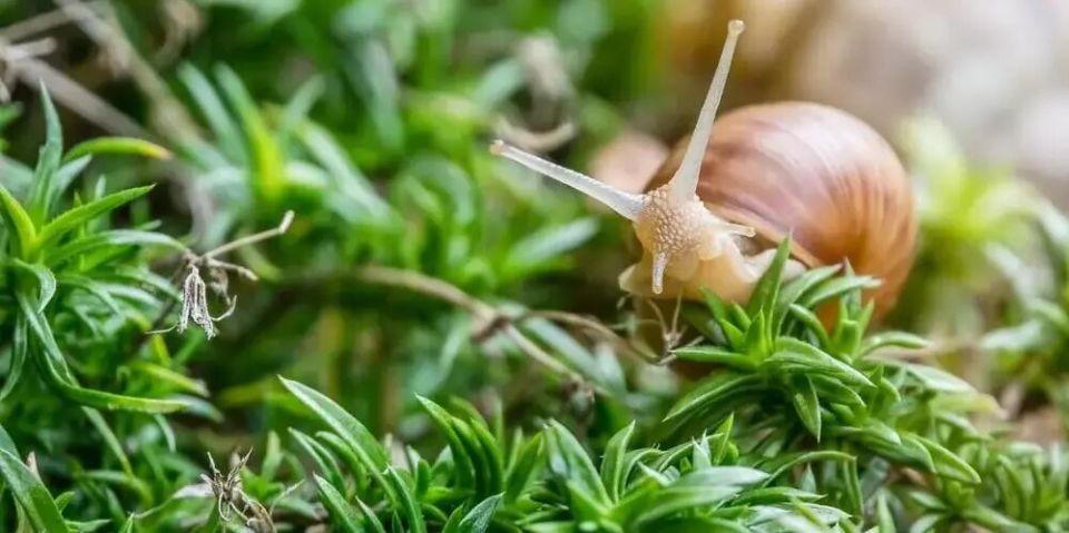 ����������� ������� ������ ������ �� ������� � ������: �������� ��� ���������� ���������