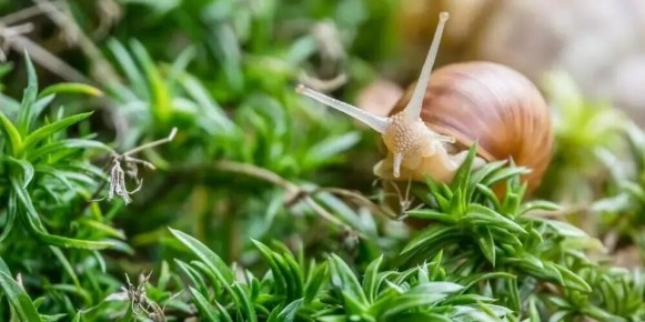 ����������� ������� ������ ������ �� ������� � ������: �������� ��� ���������� ���������