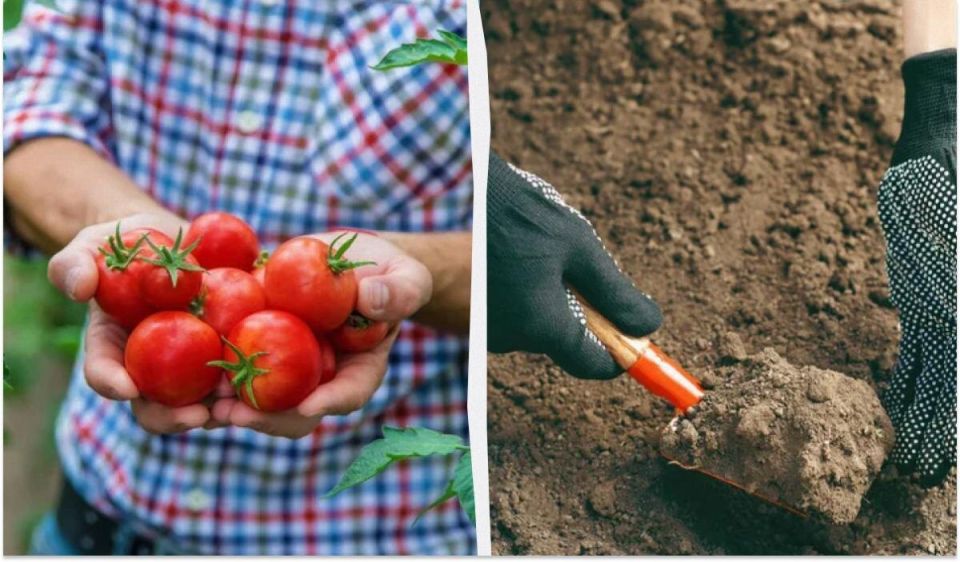 ��� ����� �������� ����� ������ ��� ������: ������� ��� ��������