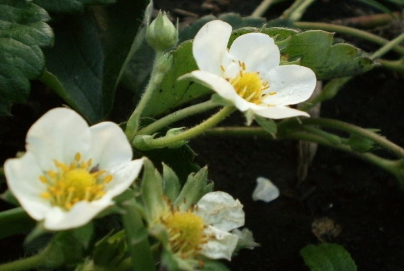 ������� ��������� �������� �� ����� ��������: ��� �������� �������� ������