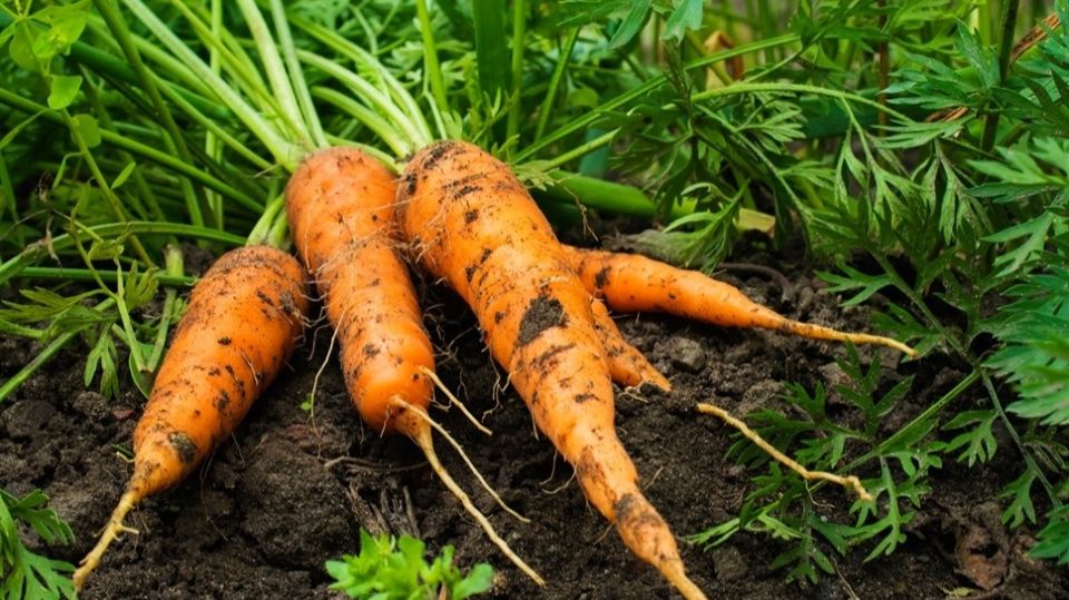 ��� � ������� ��������� ������� ������������ ��������� � ������ ���������� �� �������