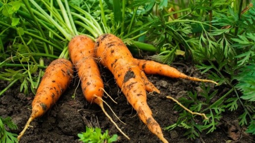 ��� � ������� ��������� ������� ������������ ��������� � ������ ���������� �� �������