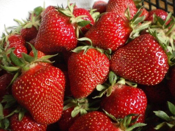 �������� ��������: �������, ������� ������������� ������ �� ����