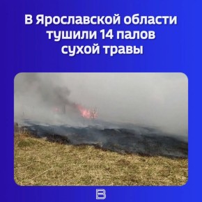 ����� ������ ������������ � �����-������ ������������� ��� ������ �� ��������� �����