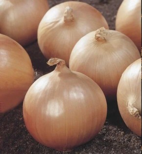 ��� �����: ������� � ��������������� ������ ��� ���� ��������