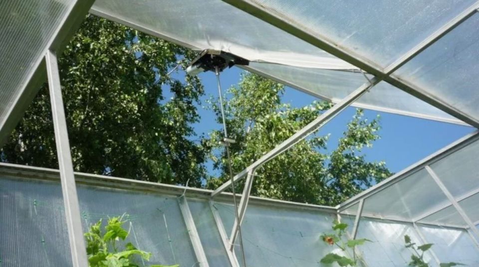 ��� ������������ ������� � ��������� ������: ������� ���������� ������