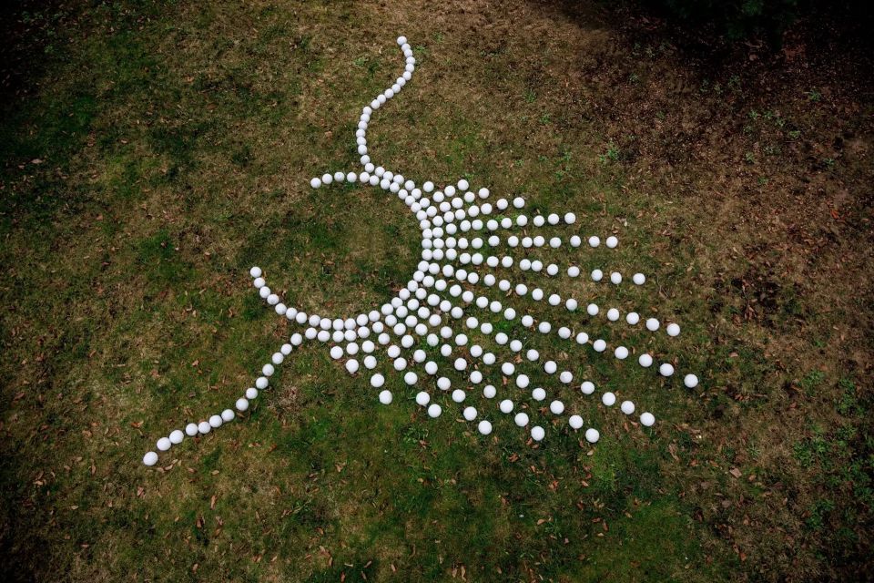 � ��������� �� ����������� ����� ������� ���������� � ���� ����������� ��������