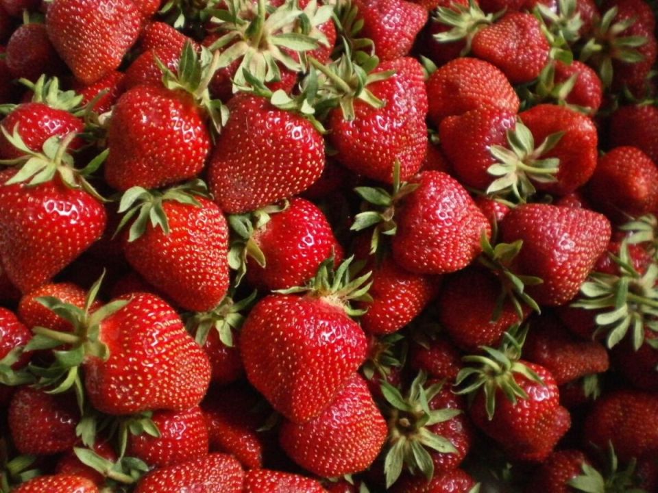 ������������� ����������� �������: �������� ������� � ����������� �������