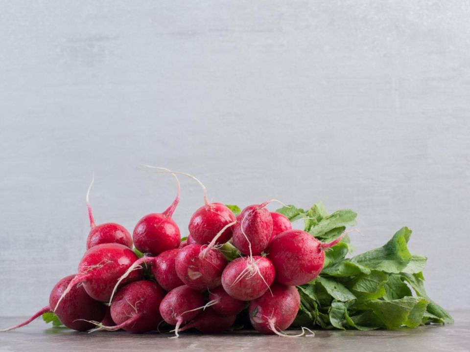 ������ �� ������: ������� ��������� ����������� ������